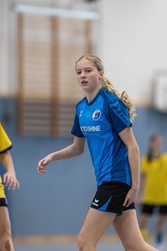 Bild 454 - wBJ NFV Futsalmeisterschaft